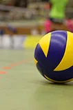 Featured Sports Categories - 爱游戏APP
